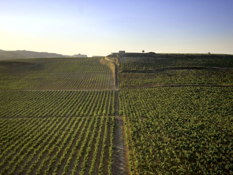 000255-Archivo Bodegas López de Heredia Viña Tondonia-Foto Pepe Franco